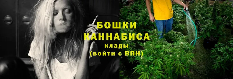 как найти закладки  Белореченск  Бошки Шишки OG Kush 